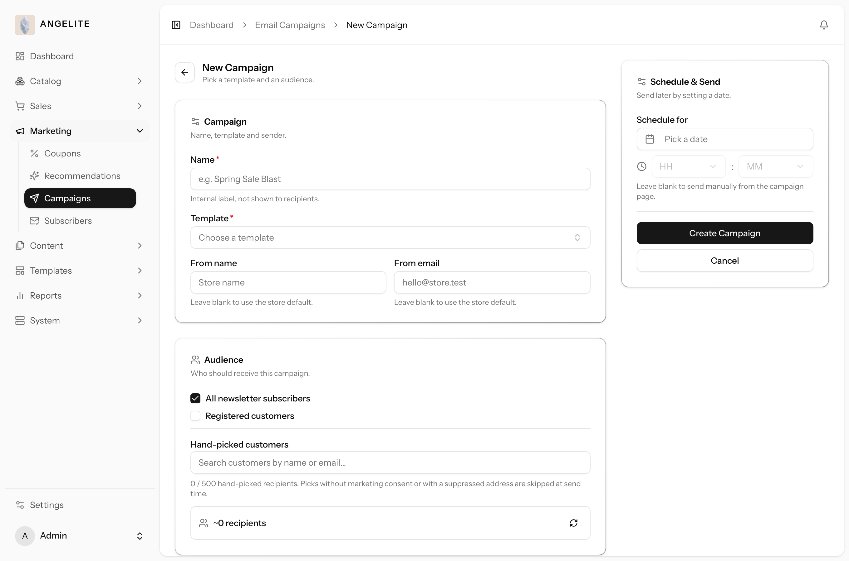 Email campaign editor with audience and schedule